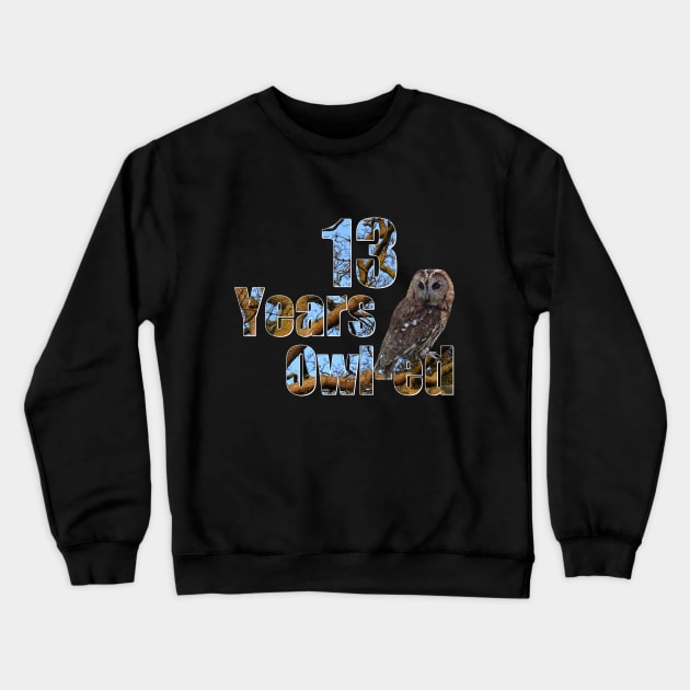 13 years owl-ed (13 years old) teen 13th birthday Crewneck Sweatshirt by ownedandloved